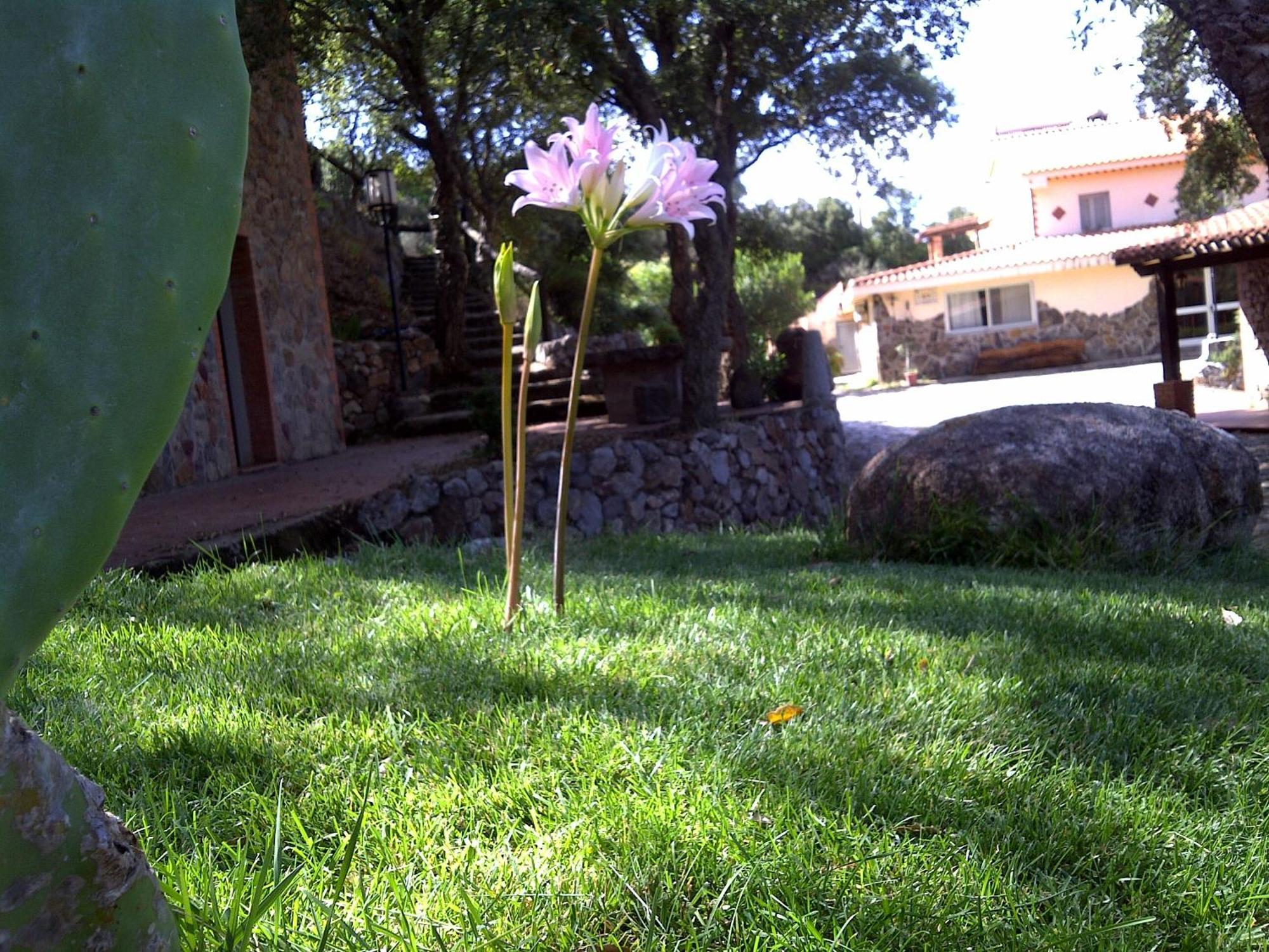 La Quercia Arbus Exterior foto